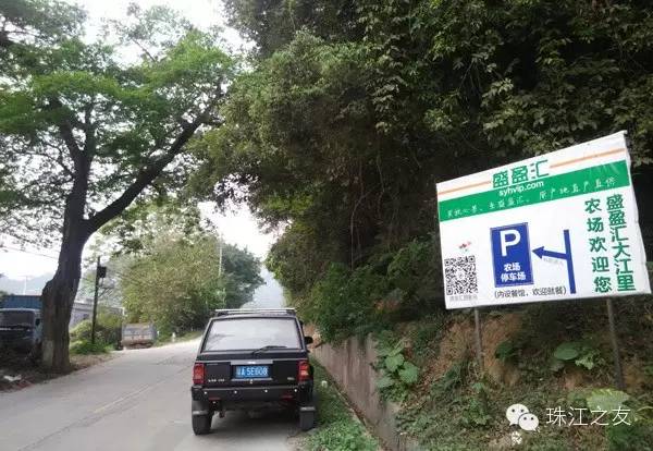水上皮划艇—广东省橱柜业商会理事会活动配图5