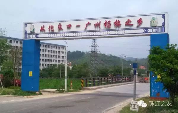 水上皮划艇—广东省橱柜业商会理事会活动配图4