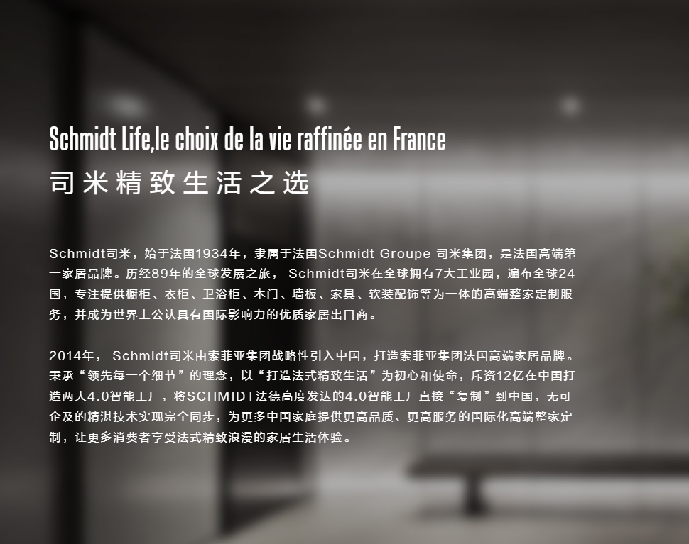 Schmidt司米封面图