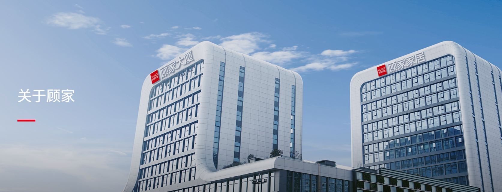 顾家家居股份有限公司封面图