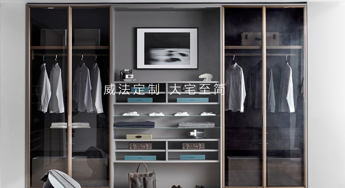 广东威法定制家居股份有限公司封面图