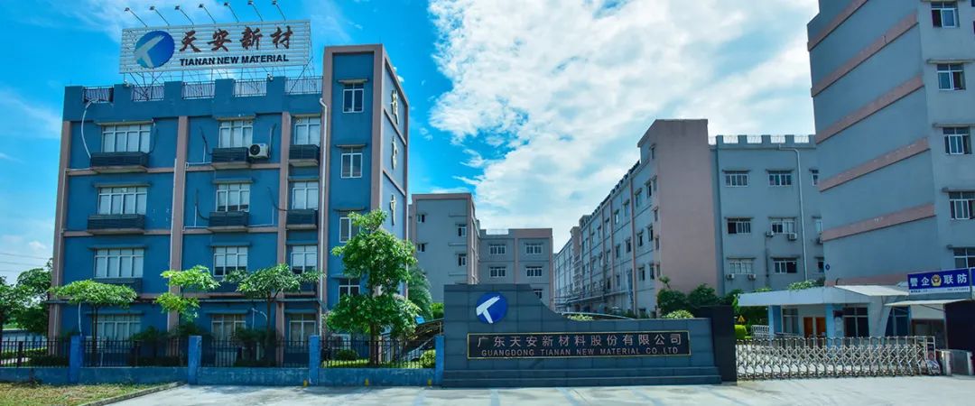 广东天安新材料股份有限公司封面图