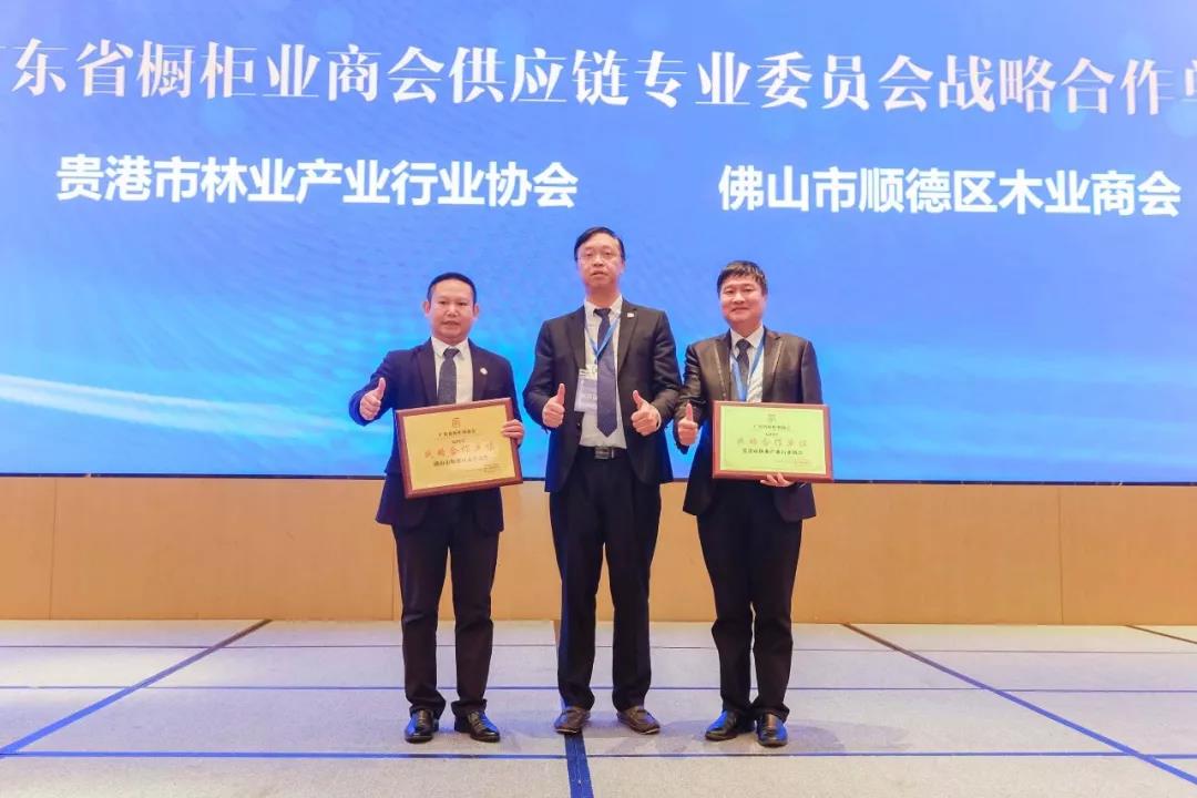 广东省橱柜业商会2019年会暨年度颁奖盛典配图29