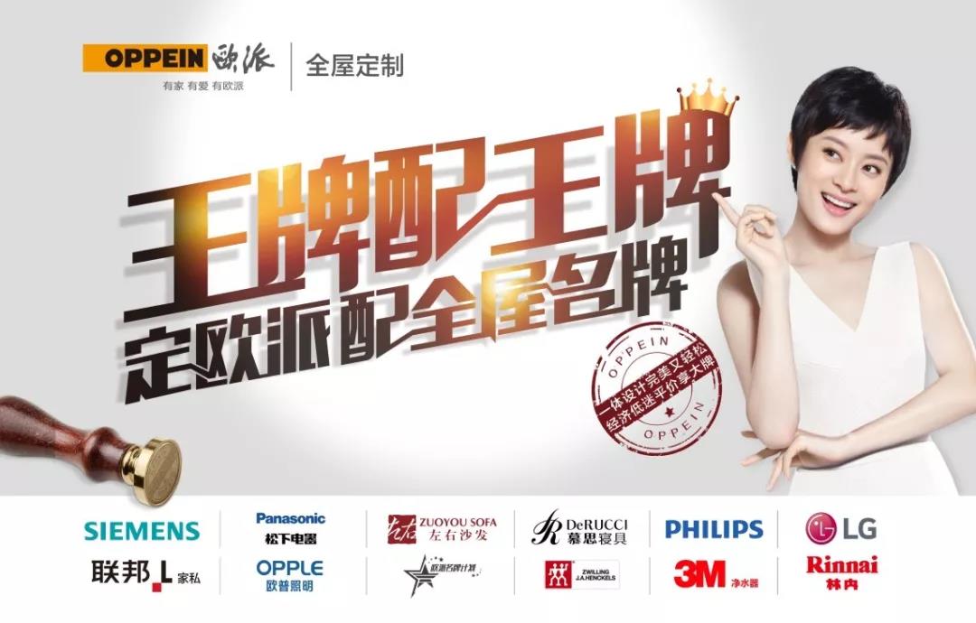 名誉会长单位——看!欧派这一年配图6