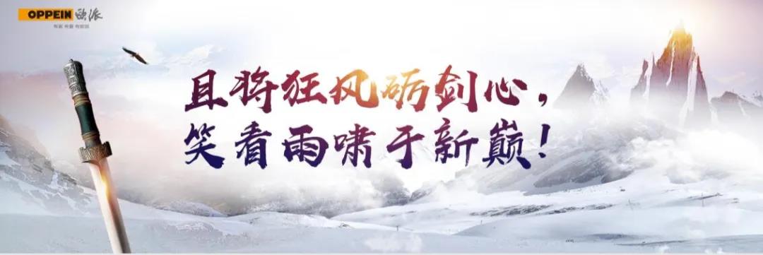 欧派家居集团2020年度营销峰会圆满召开！配图10