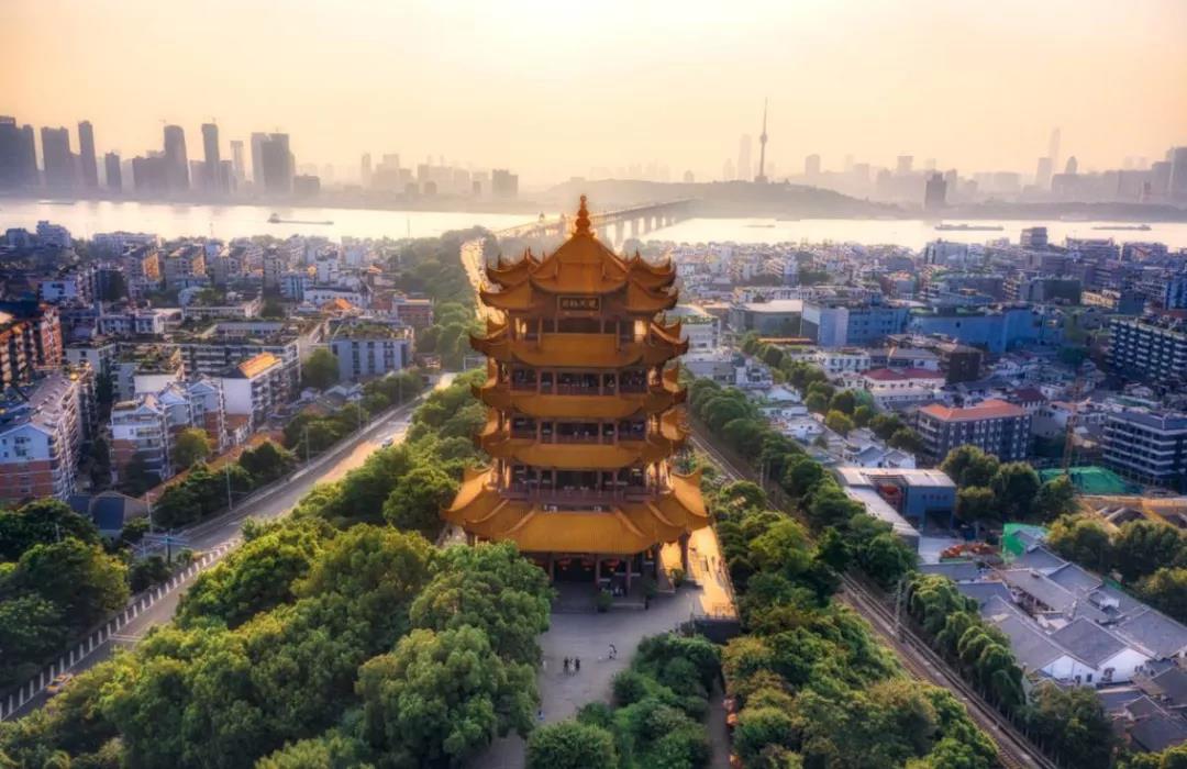 波茵——打造无醛品质梦想家封面图