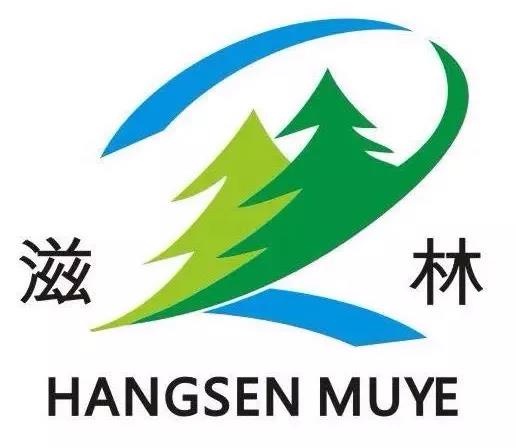 湖北省松滋市航森木业有限公司封面图