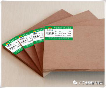 儋州华盛新人造板有限公司配图4