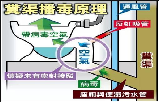 《疫后家·装消费意向调研》:9大结论,4句真心配图13