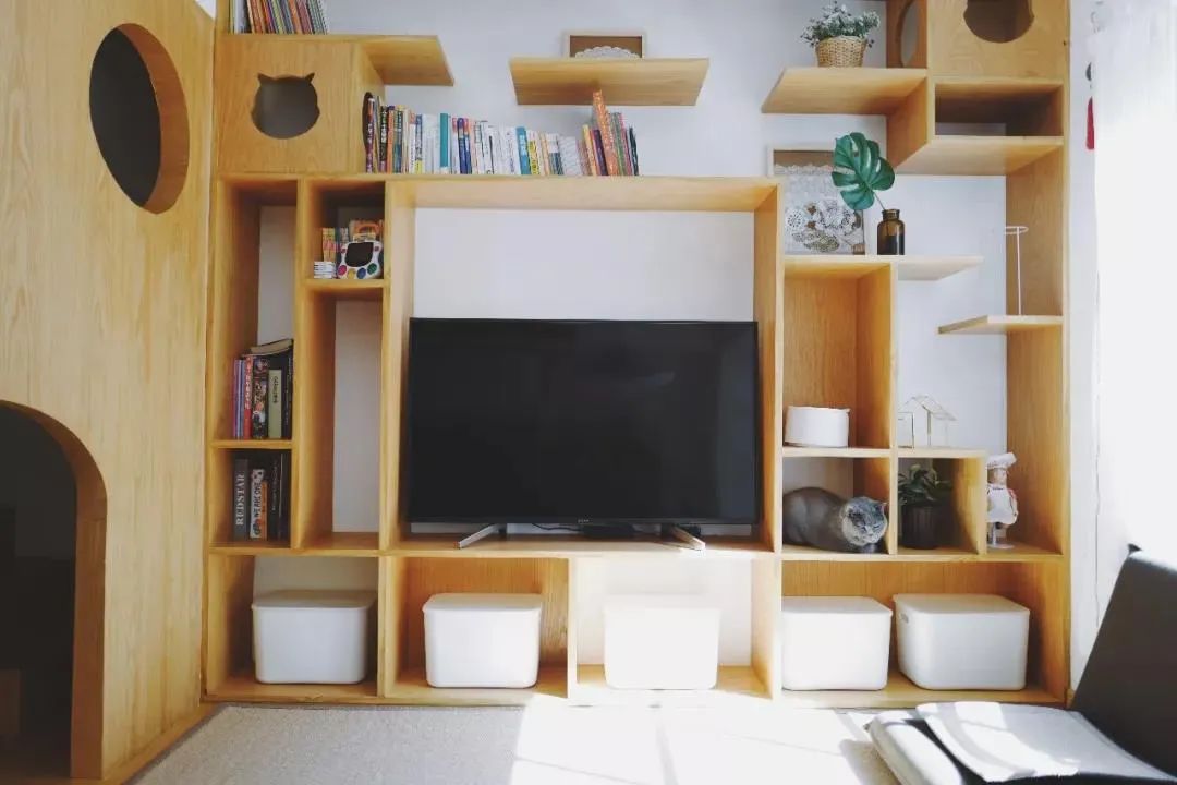 五丰电子——猫屋照明系统案例分享配图2