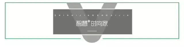 华帝——《烟火·相融 国风文化盛典》2020华帝品封面图